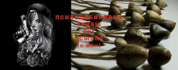 скорость Абаза