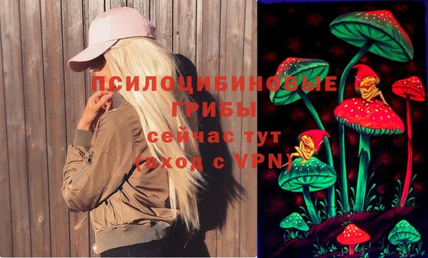 скорость Абаза