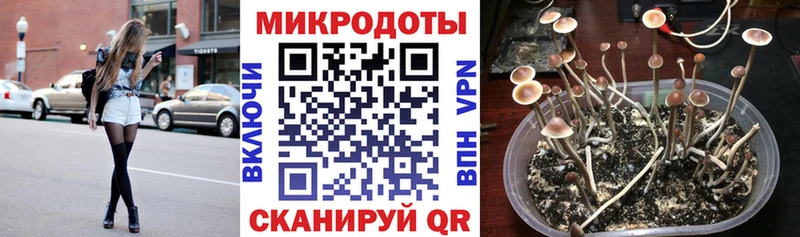 маркетплейс официальный сайт  как найти   Гагарин  Галлюциногенные грибы мухоморы 