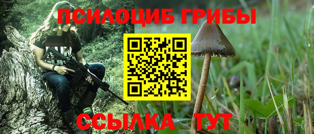 Галлюциногенные грибы MAGIC MUSHROOMS  Вход с VPN  Гагарин 